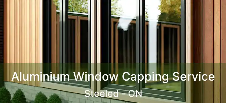  Aluminium Window Capping Service Steeled - ON