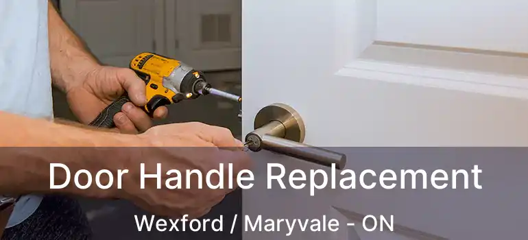  Door Handle Replacement Wexford / Maryvale - ON