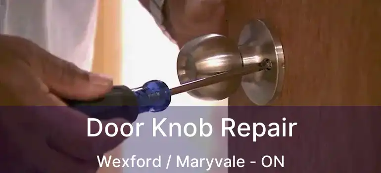  Door Knob Repair Wexford / Maryvale - ON