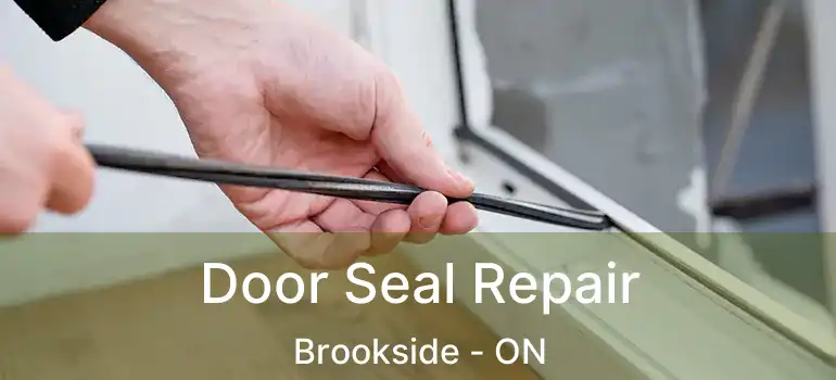  Door Seal Repair Brookside - ON