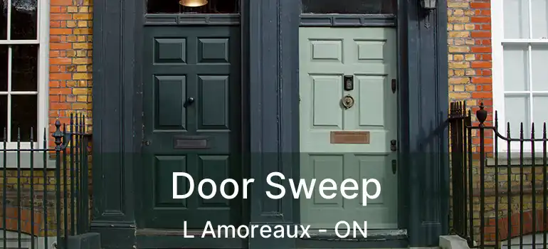  Door Sweep L Amoreaux - ON