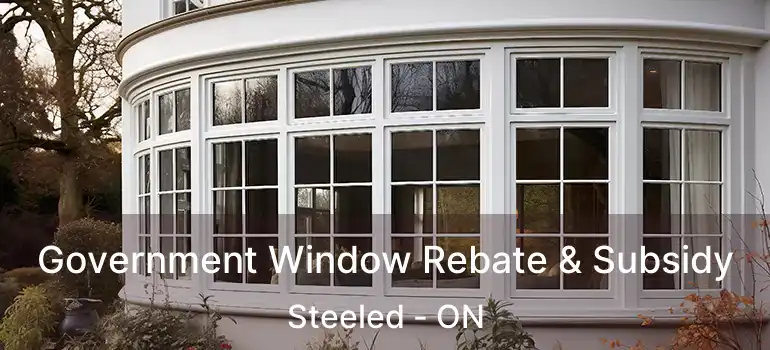  Government Window Rebate & Subsidy Steeled - ON