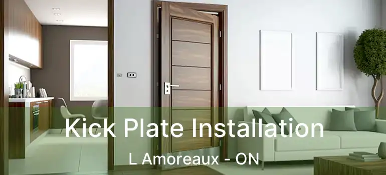  Kick Plate Installation L Amoreaux - ON