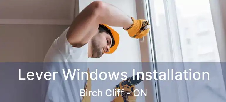  Lever Windows Installation Birch Cliff - ON