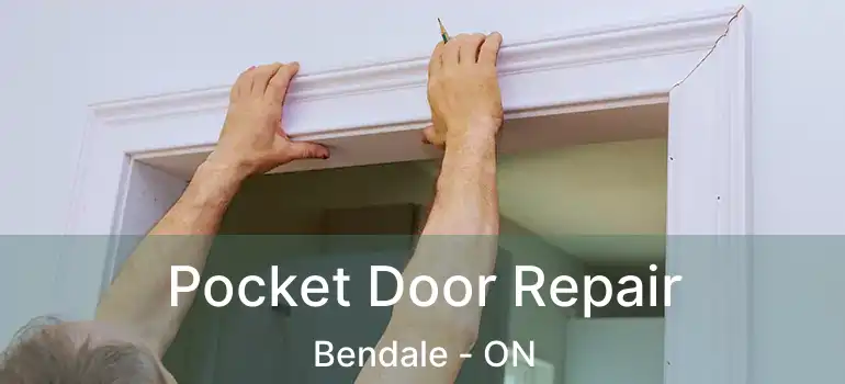  Pocket Door Repair Bendale - ON