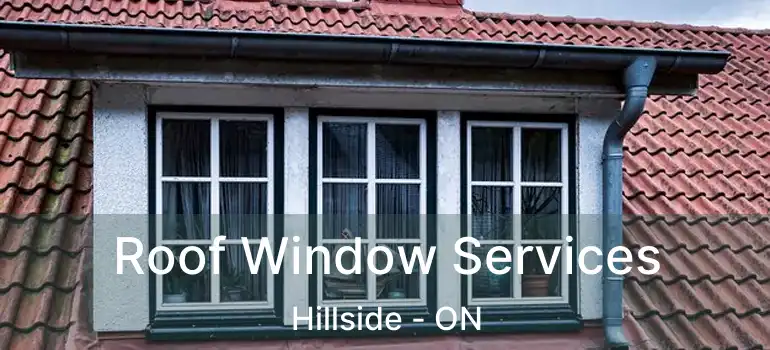  Roof Window Services Hillside - ON