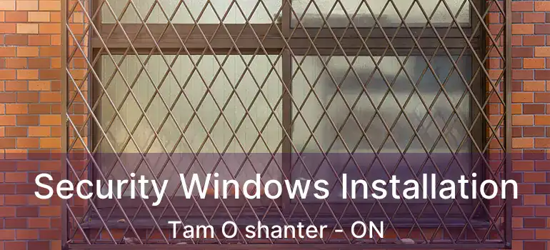  Security Windows Installation Tam O shanter - ON