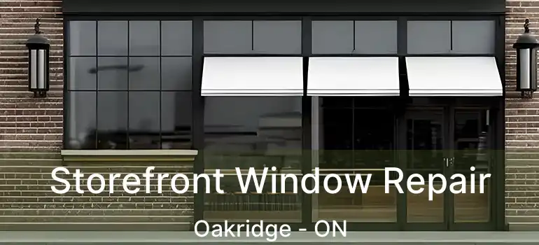  Storefront Window Repair Oakridge - ON