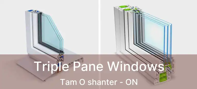  Triple Pane Windows Tam O shanter - ON