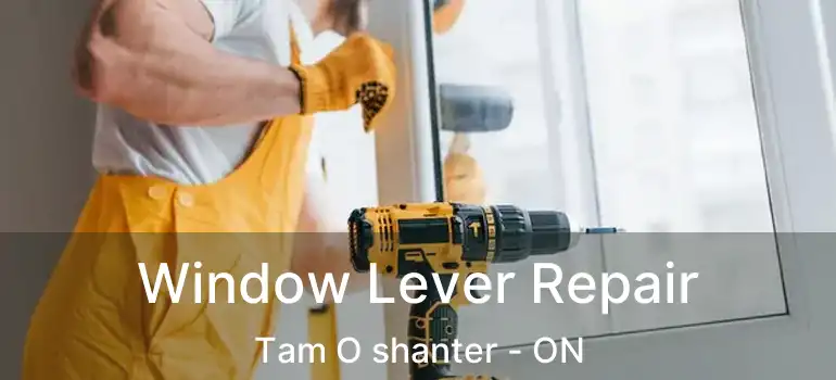  Window Lever Repair Tam O shanter - ON