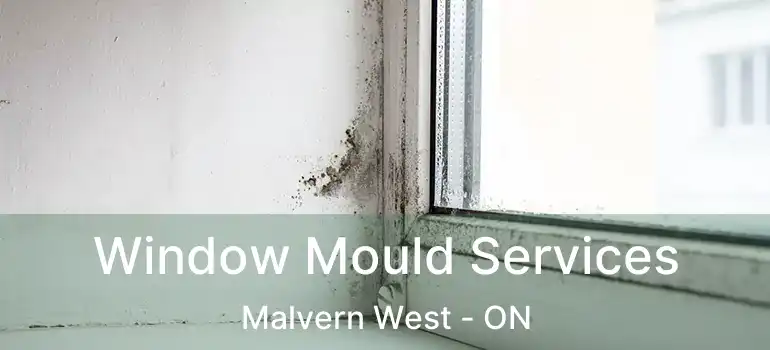  Window Mould Services Malvern West - ON