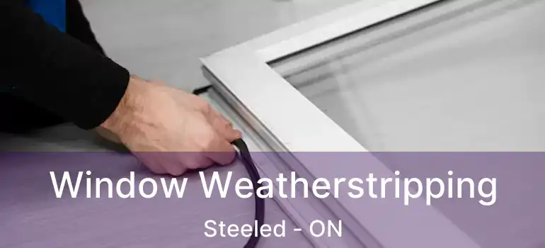  Window Weatherstripping Steeled - ON